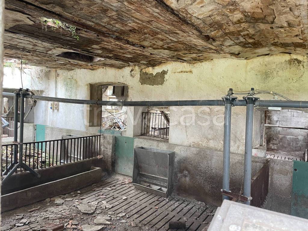 immagine annuncio 9 di 12