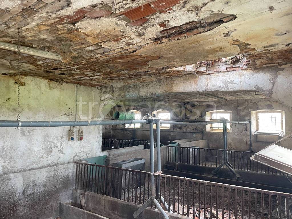 immagine annuncio 10 di 12