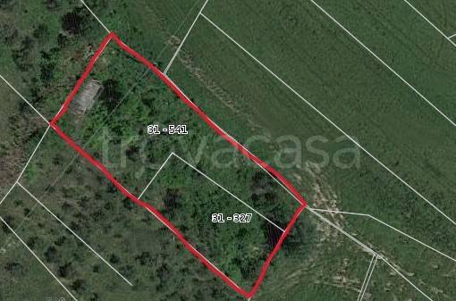 immagine annuncio 3 di 7