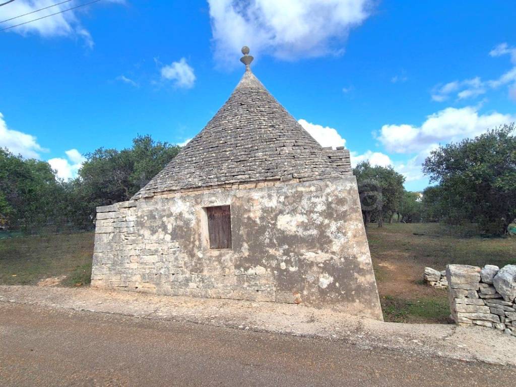 immagine annuncio 2 di 12