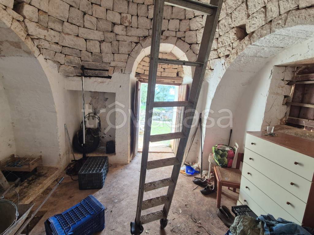 immagine annuncio 5 di 12