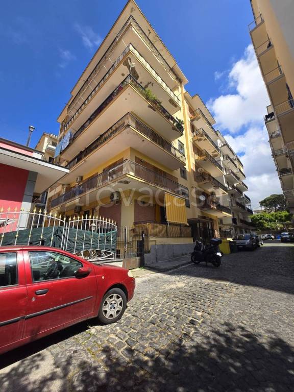 immagine annuncio 2 di 14