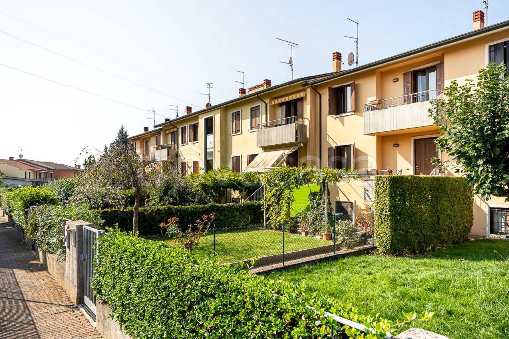 immagine annuncio 11 di 15