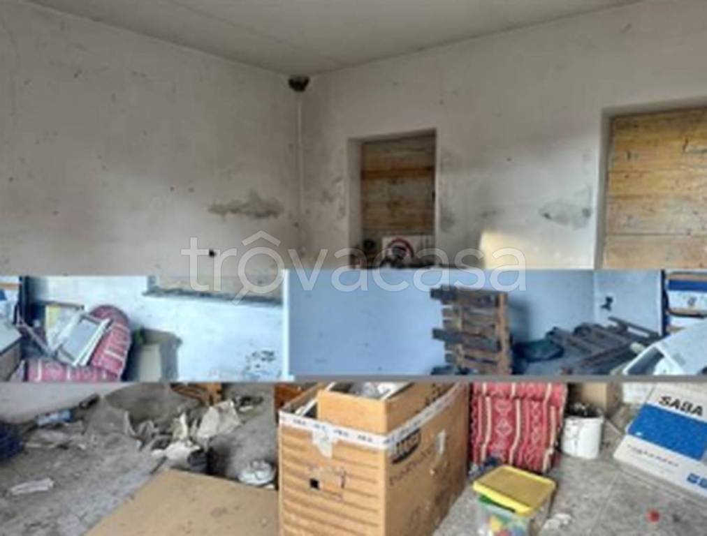 immagine annuncio 7 di 12