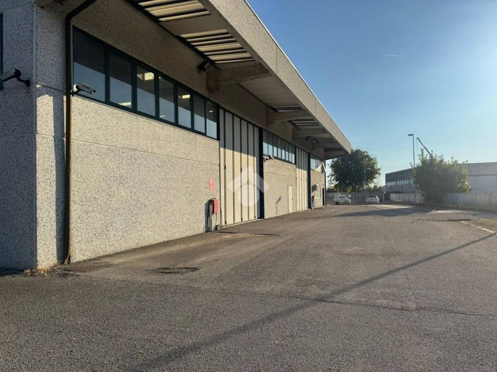 immagine annuncio 12 di 15