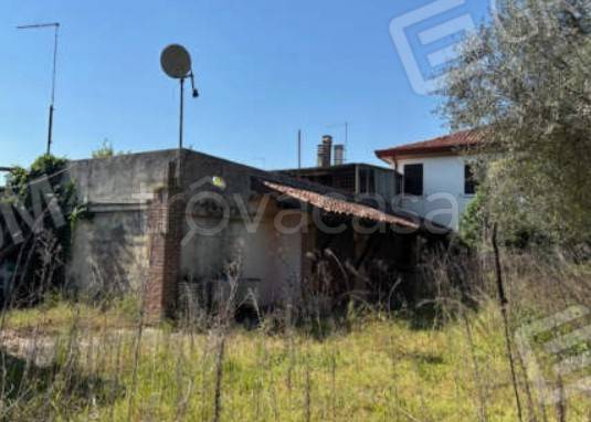 immagine annuncio 7 di 14