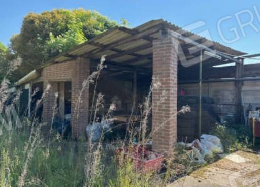 immagine annuncio 9 di 14