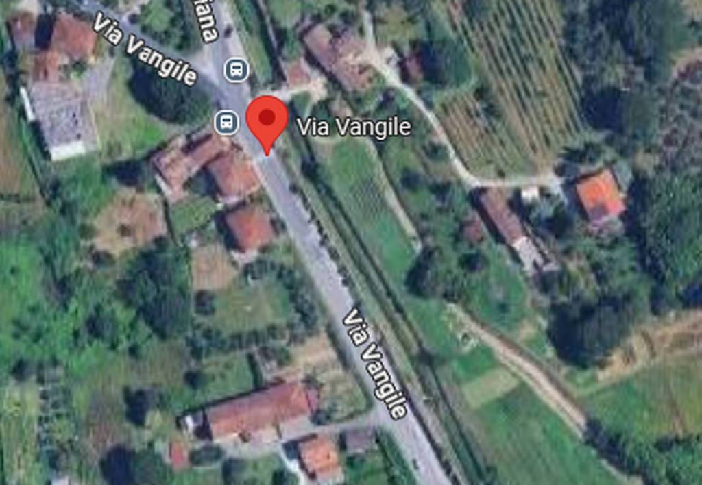 immagine annuncio 2 di 9