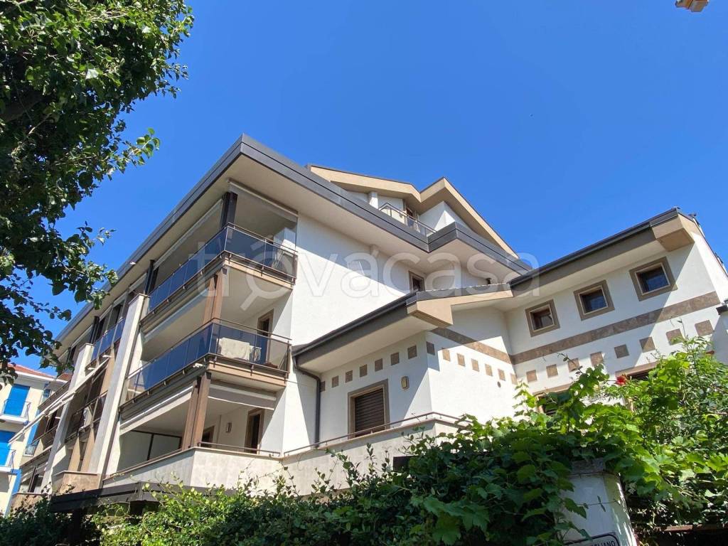 immagine annuncio 2 di 12