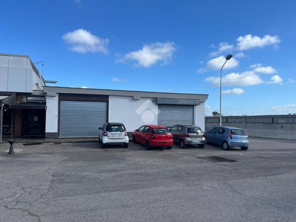 immagine annuncio 14 di 15