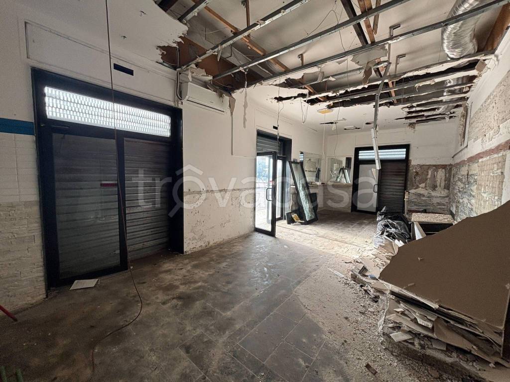 immagine annuncio 6 di 11