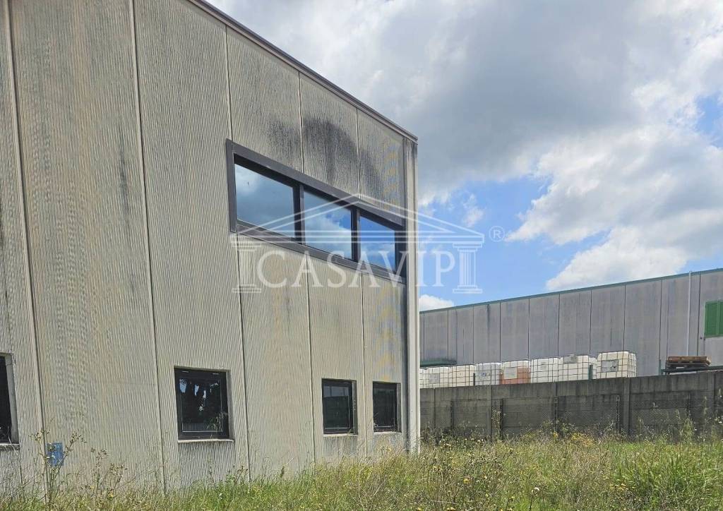 immagine annuncio 7 di 15