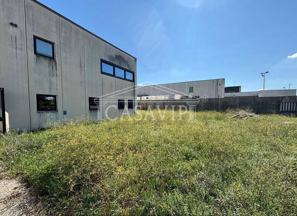 immagine annuncio 11 di 15