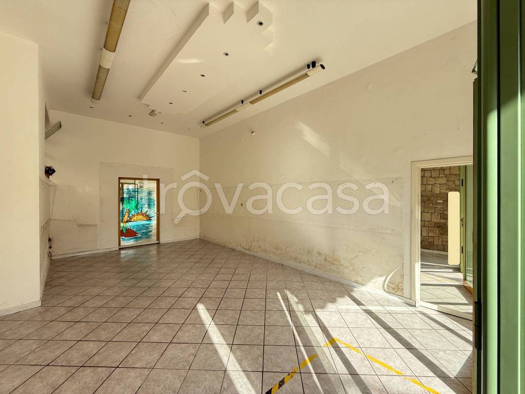 immagine annuncio 3 di 7