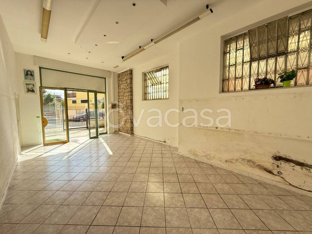 immagine annuncio 5 di 7