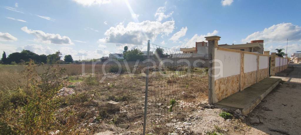 immagine annuncio 5 di 7