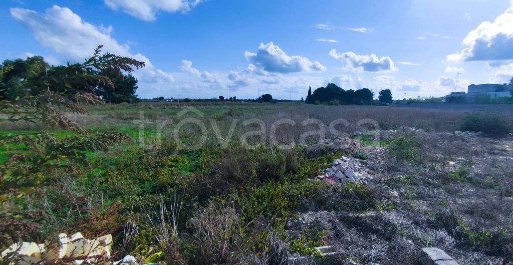 immagine annuncio 6 di 7