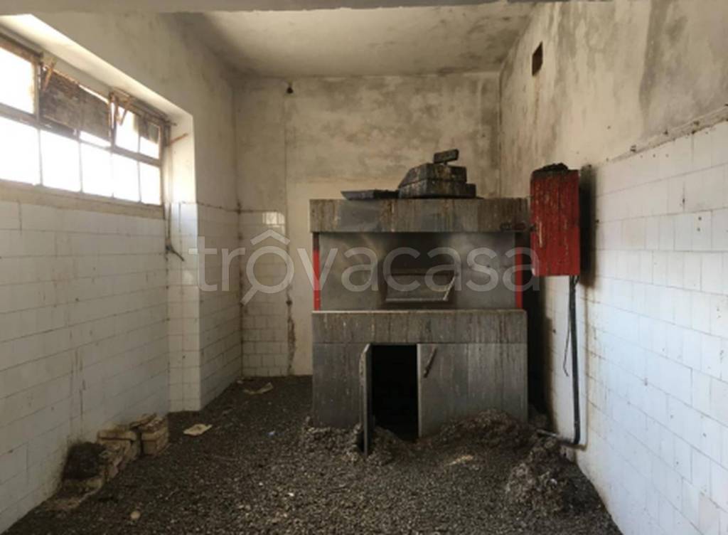 immagine annuncio 2 di 12