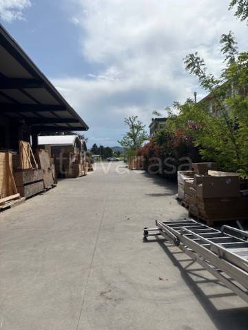 immagine annuncio 2 di 4