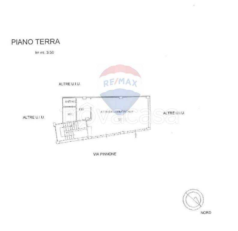 immagine annuncio 9 di 11