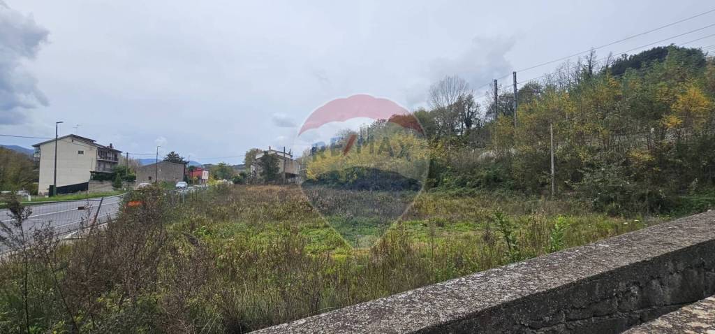 immagine annuncio 5 di 7