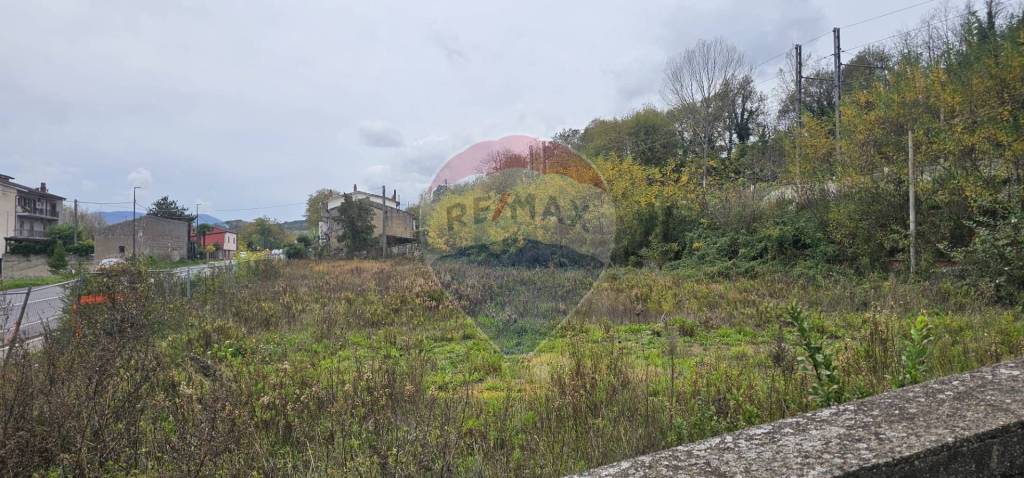 immagine annuncio 6 di 7