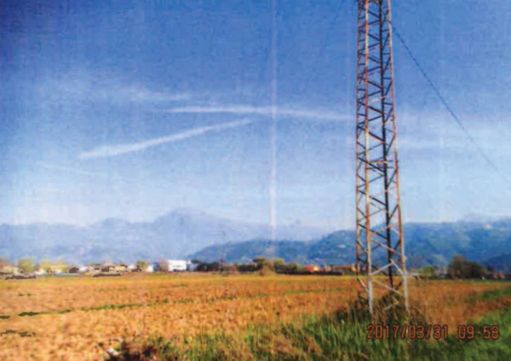 immagine annuncio 3 di 11