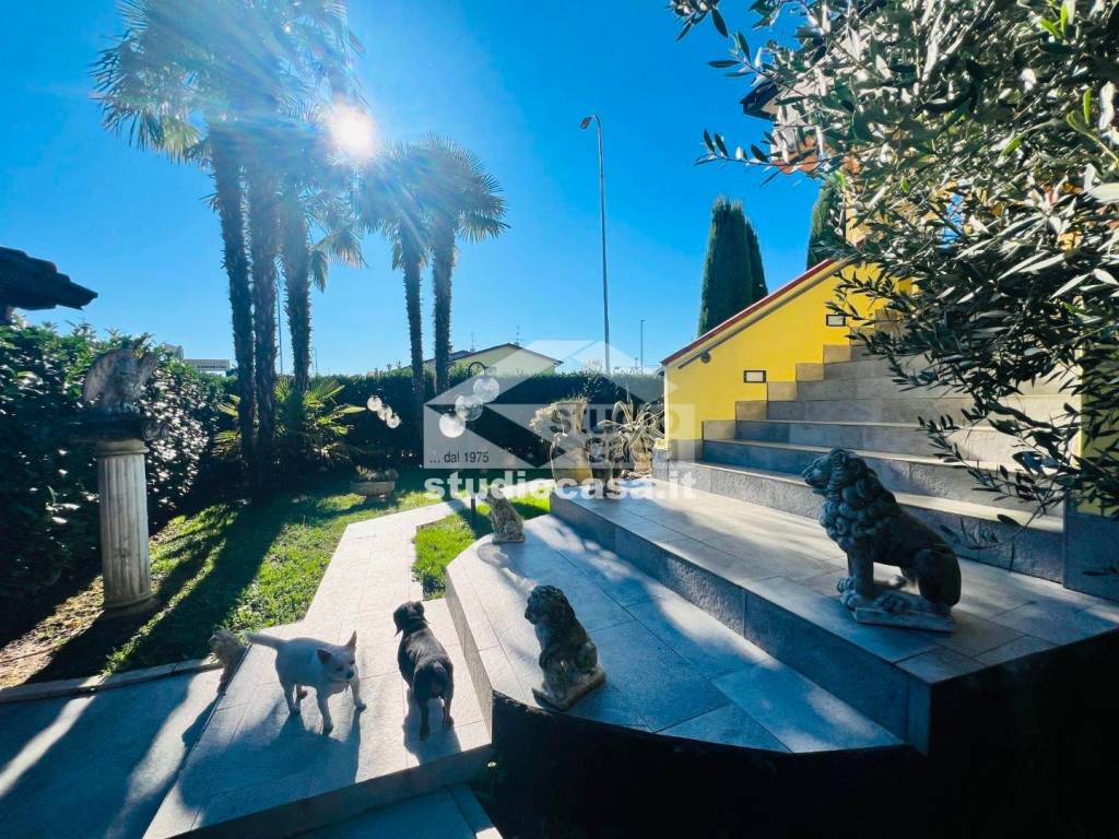 immagine annuncio 3 di 15