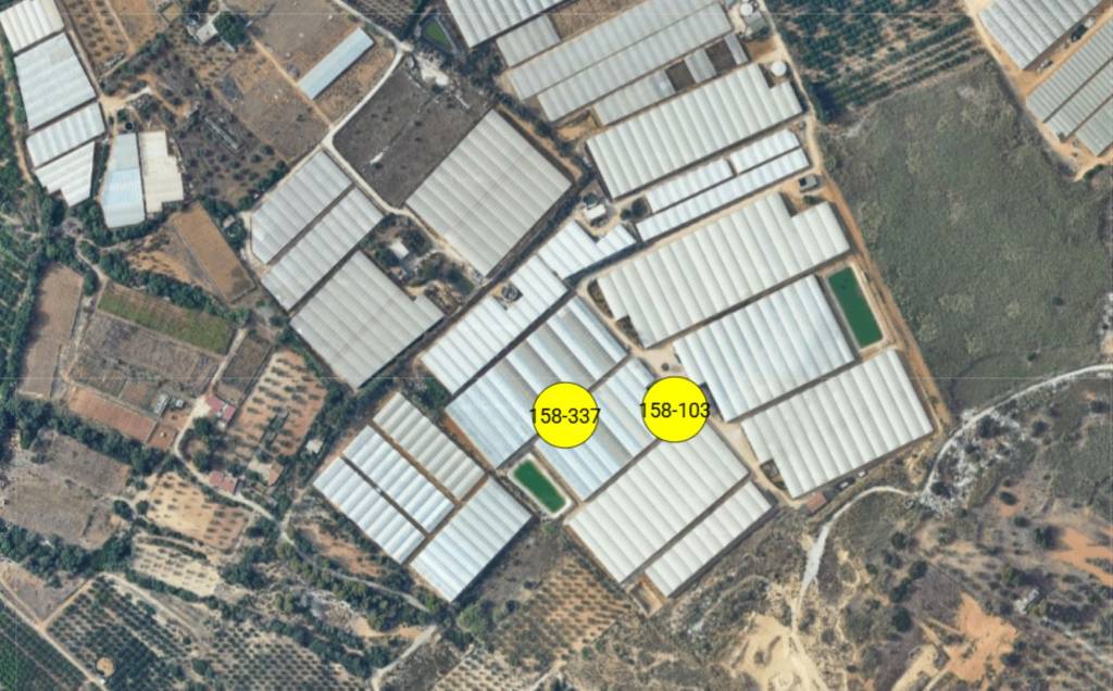 immagine annuncio 6 di 11