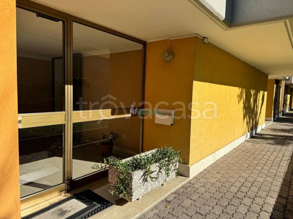 immagine annuncio 1 di 12