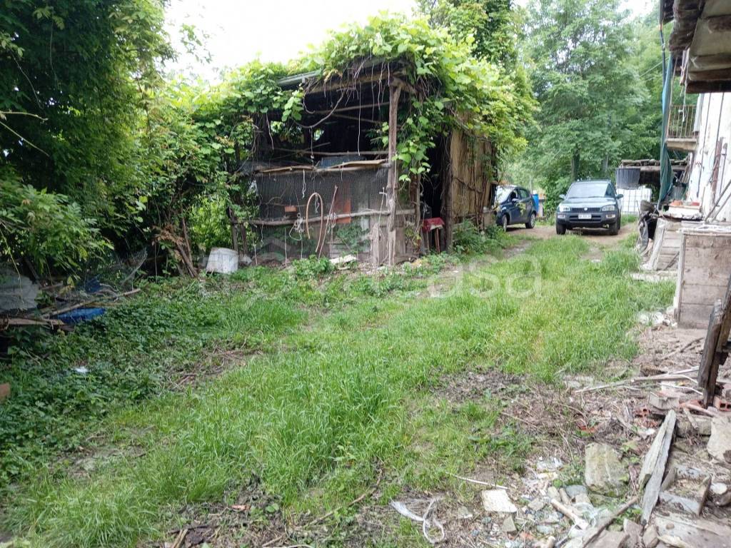 immagine annuncio 11 di 12