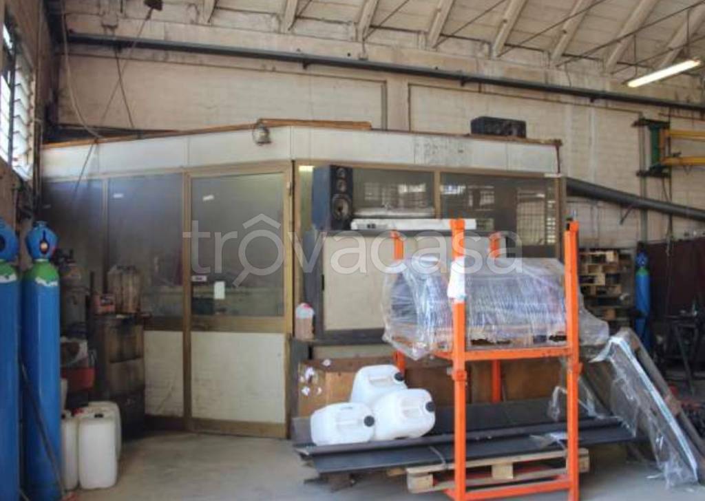 immagine annuncio 11 di 15