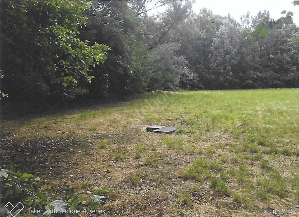 immagine annuncio 6 di 9