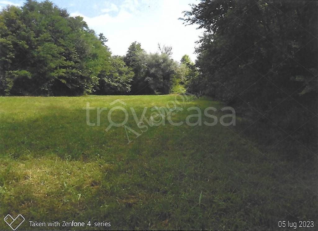 immagine annuncio 7 di 9