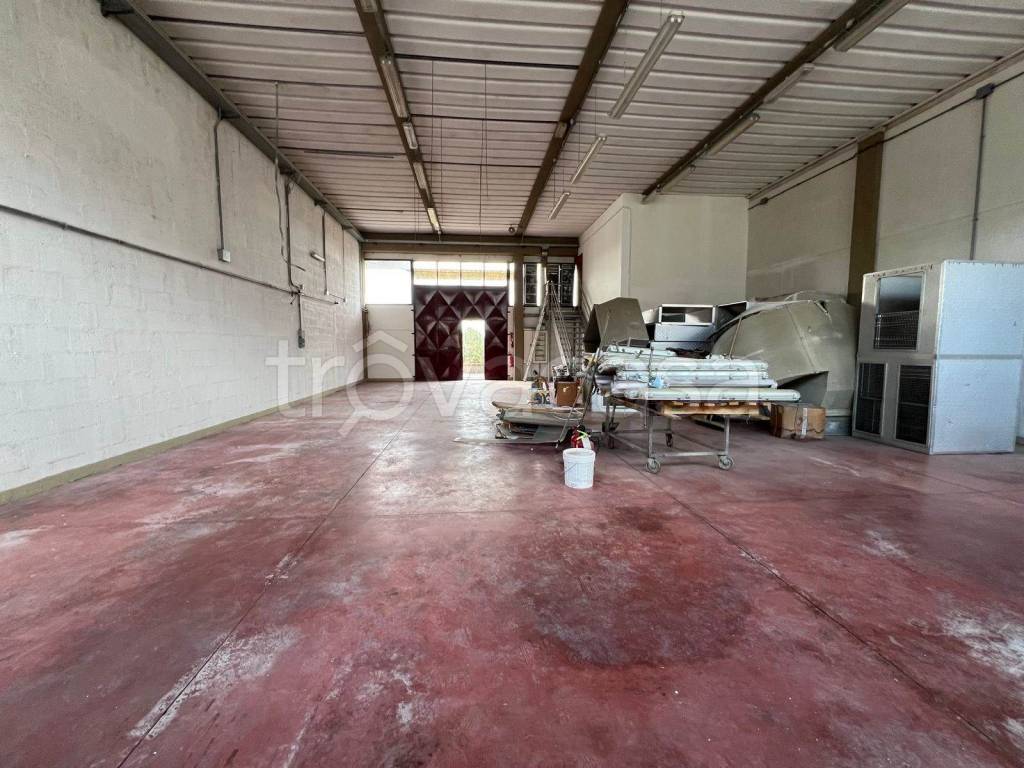 immagine annuncio 2 di 15