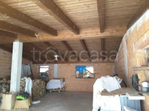 immagine annuncio 4 di 6