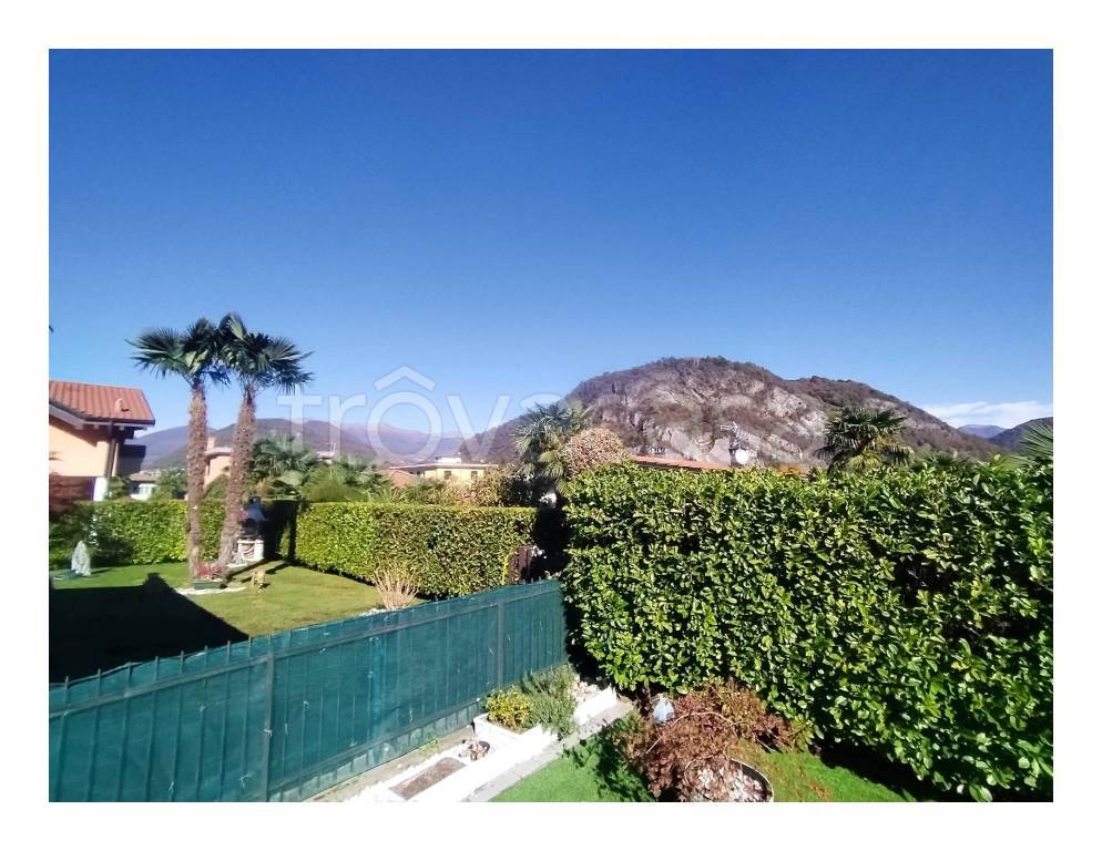 immagine annuncio 2 di 12