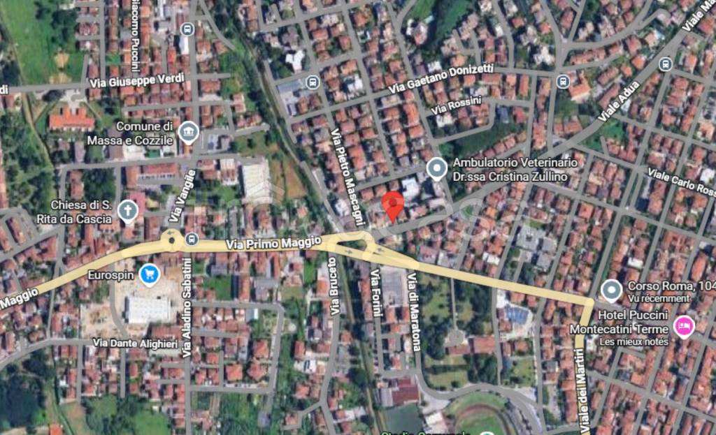 immagine annuncio 2 di 12