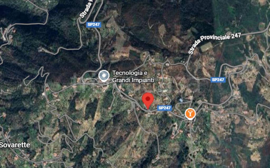 immagine annuncio 3 di 11