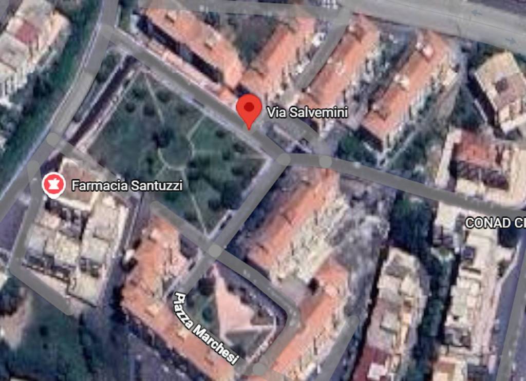 immagine annuncio 1 di 12