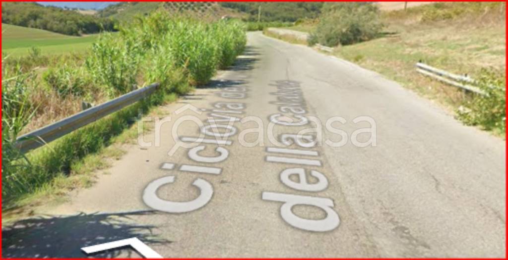 immagine annuncio 5 di 14