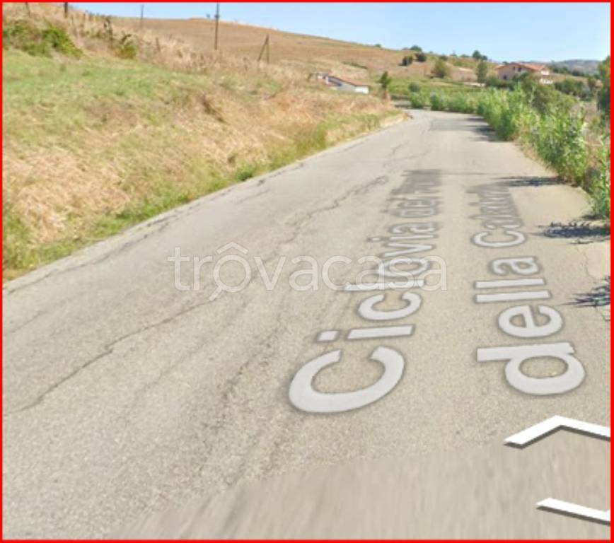 immagine annuncio 11 di 14