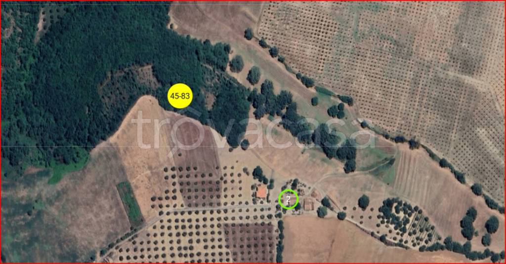 immagine annuncio 13 di 14