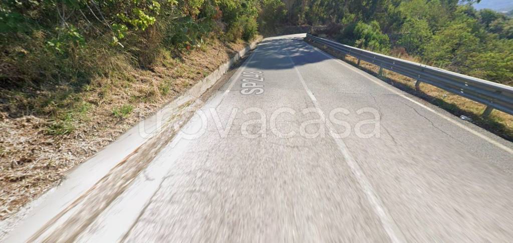 immagine annuncio 6 di 14