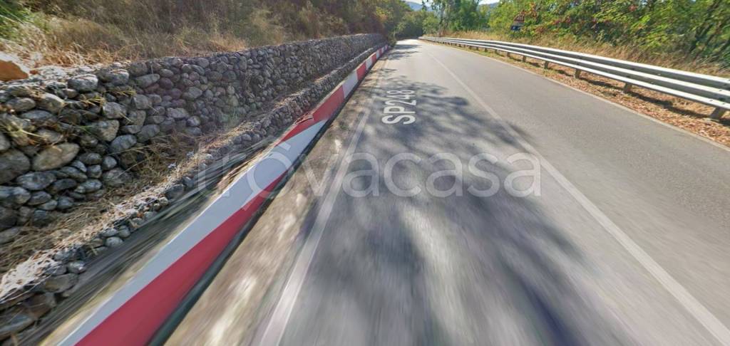 immagine annuncio 12 di 14