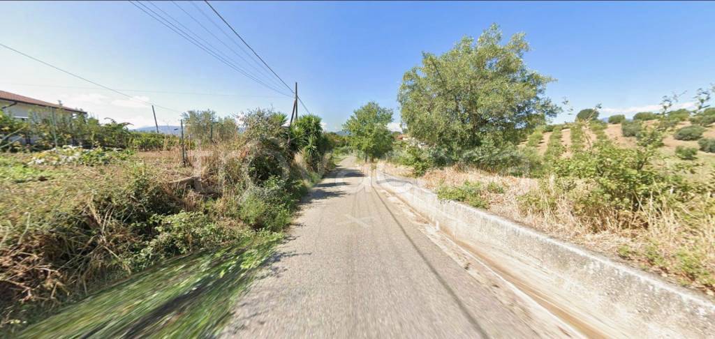 immagine annuncio 7 di 12