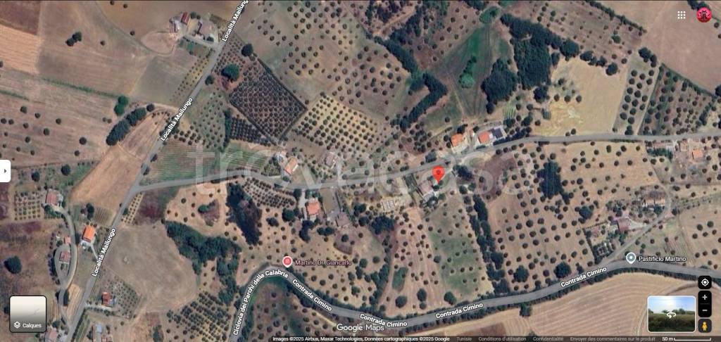 immagine annuncio 10 di 12