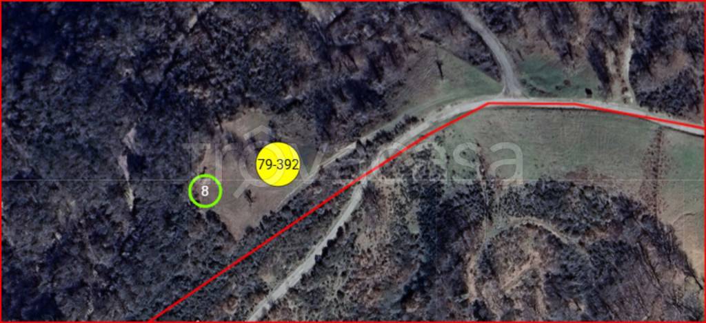 immagine annuncio 11 di 12