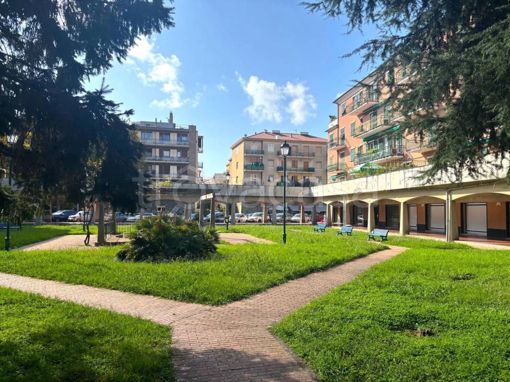 immagine annuncio 2 di 8