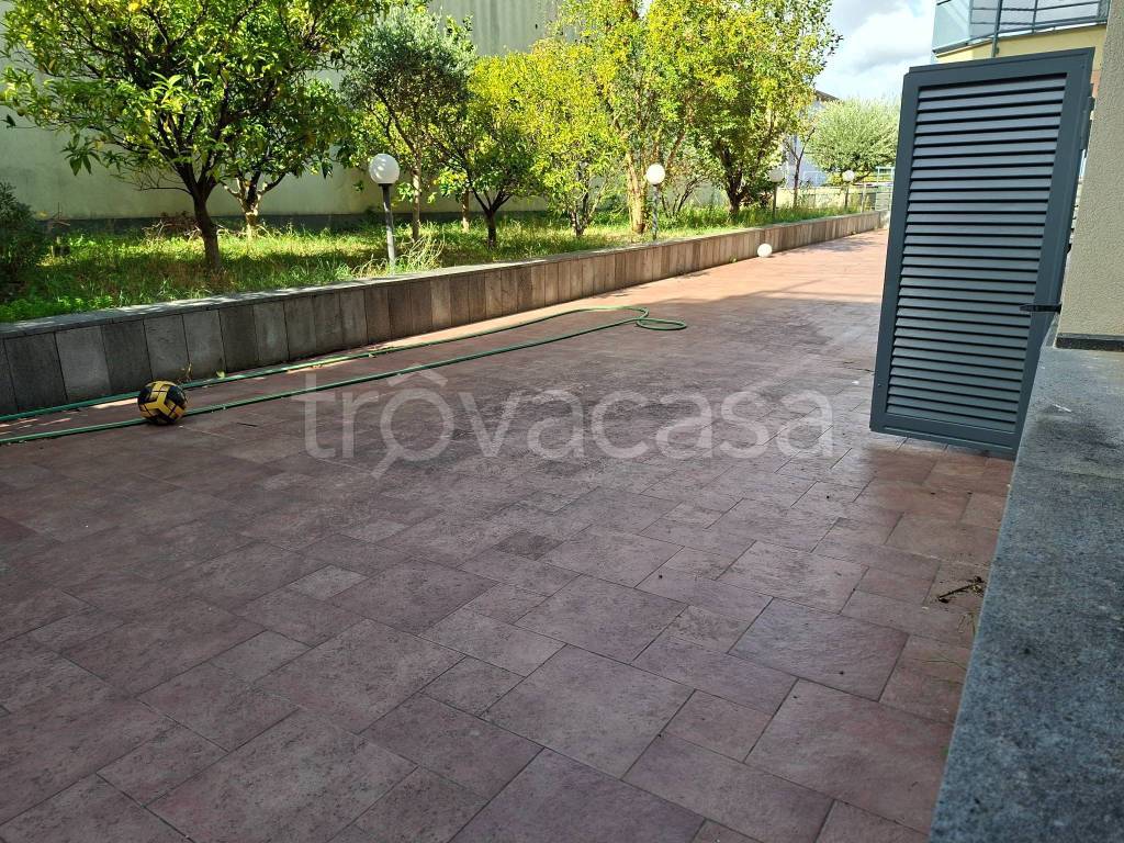 immagine annuncio 12 di 15